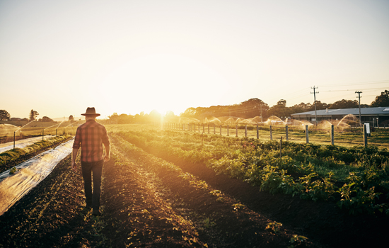 Ag Outlook