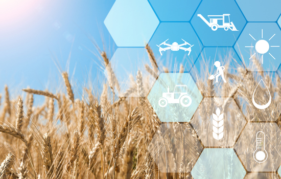 Precision agriculture