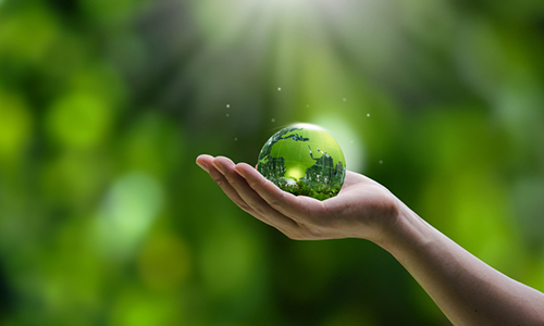 A hand holding a green globe