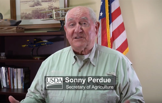 Sonny Perdue