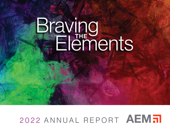 AEM Annual Report 2023