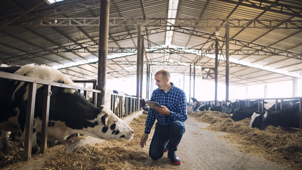 Benefits of Modern Dairy Production Technologies